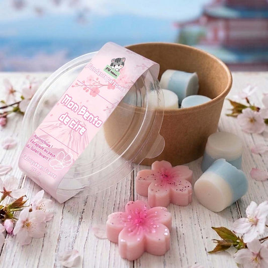 Fondants parfumés "Mon Bento de cire" Senteur Floral