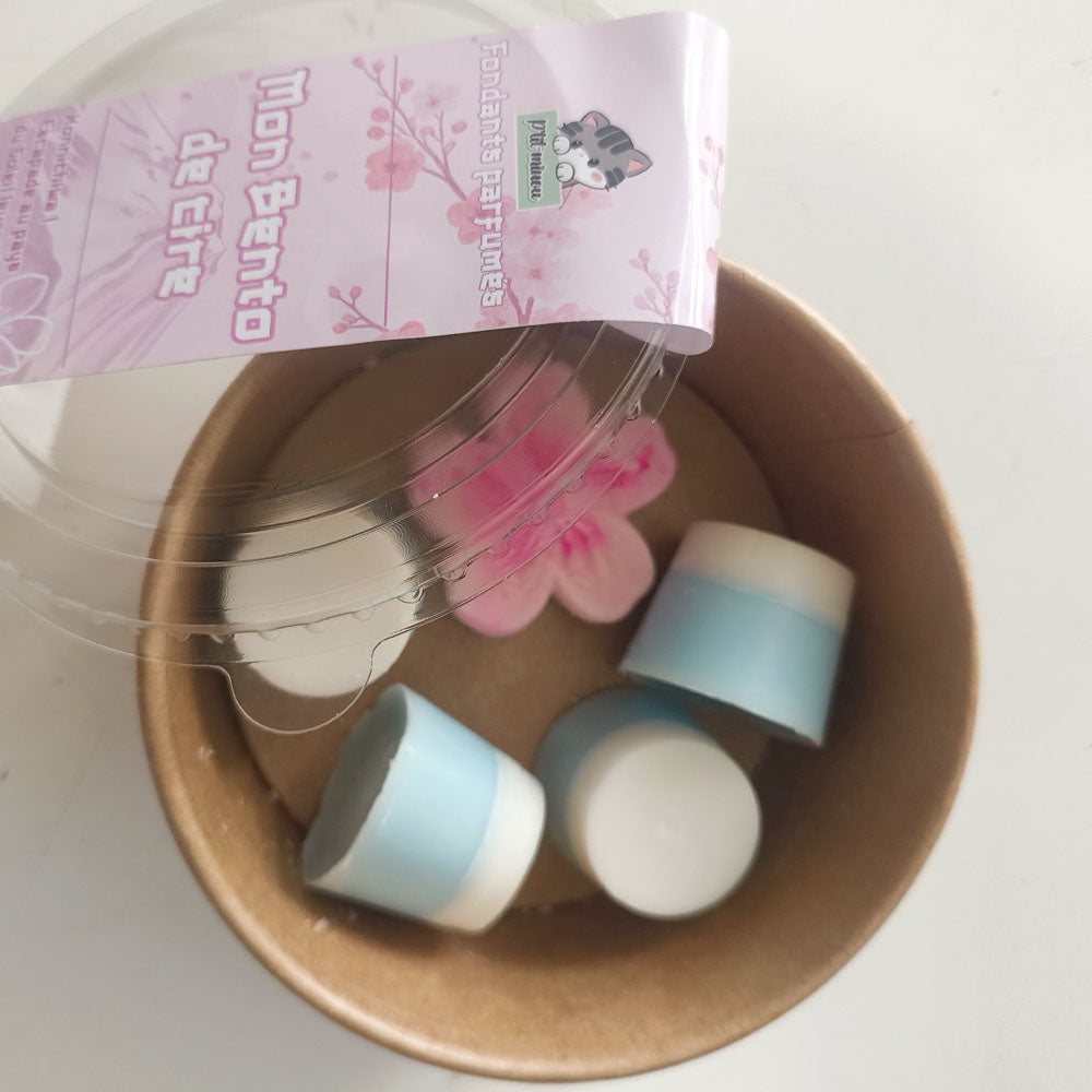 bento-cire