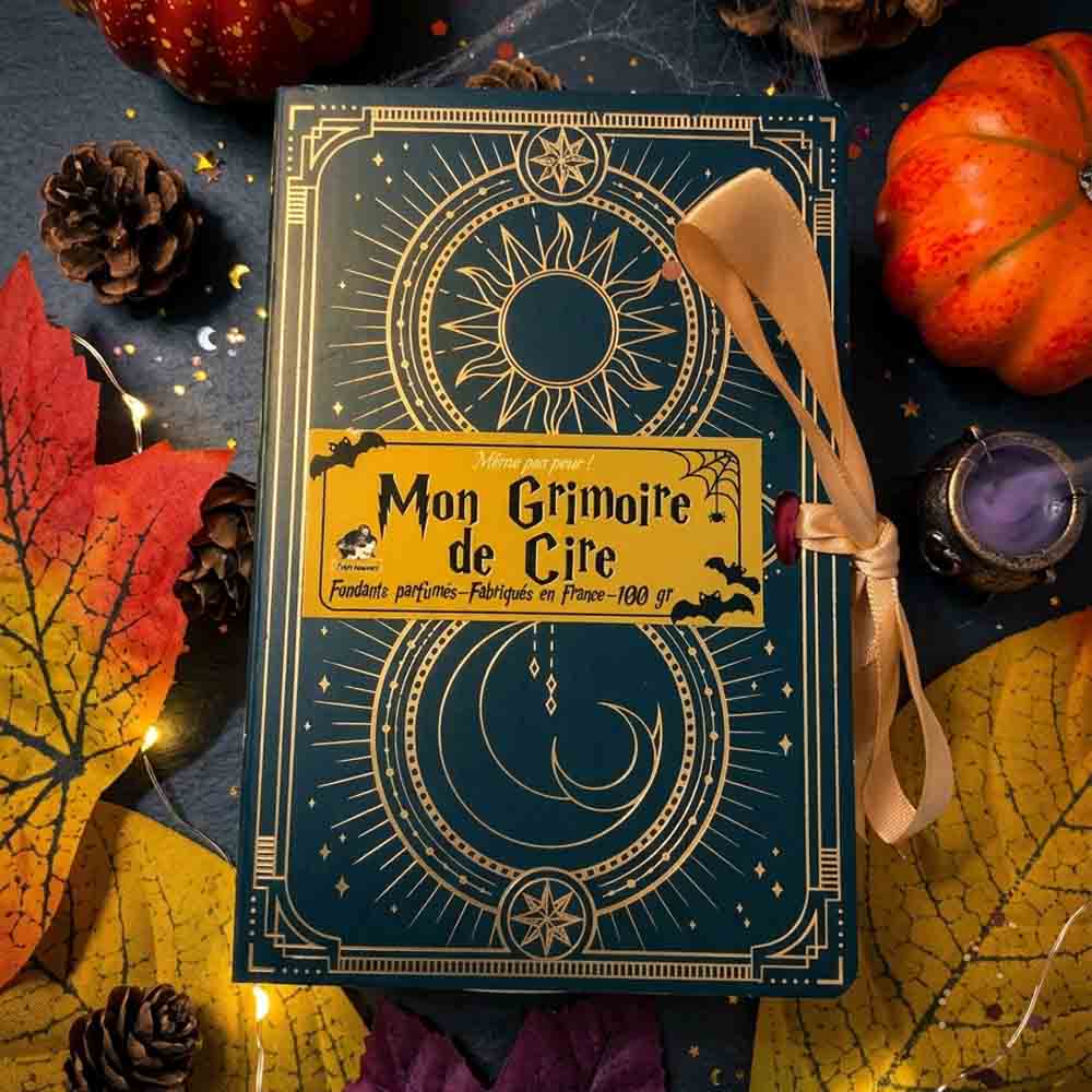 fondant-parfume-mon-grimoire-de-cire